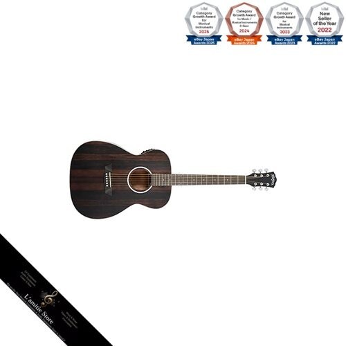 Washburn deep forest ebony - washburn,