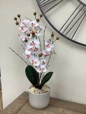 White Mini Orchid Artificial