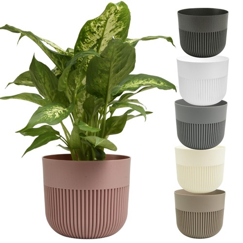 Plant pot flower planter - plant,