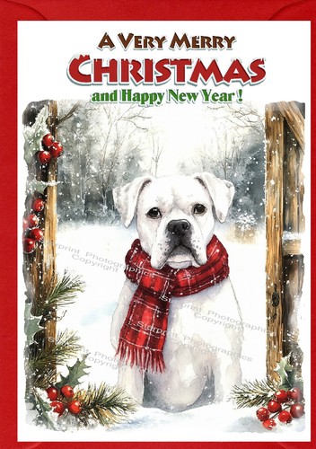 Boxer white dog christmas - white, card