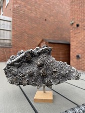 1kg Large Natural Smoky