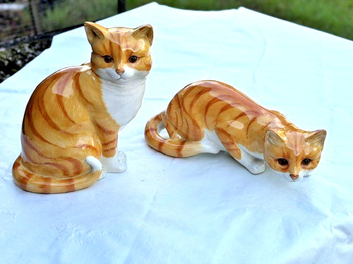 Just cats and ginger - 'just, co'.