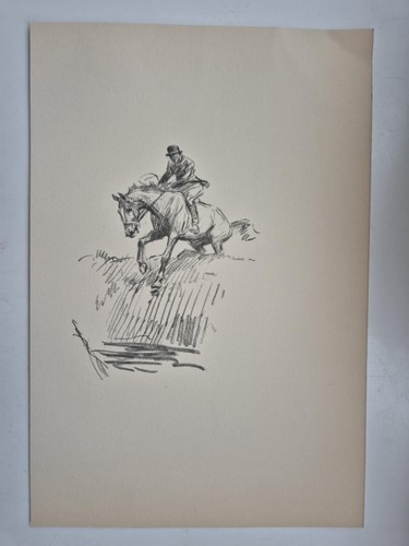 Antique pencil drawing fox - pencil,