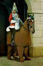 Banksy Guardsman Panto Horse