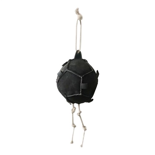 Horse treat ball - treat, feed