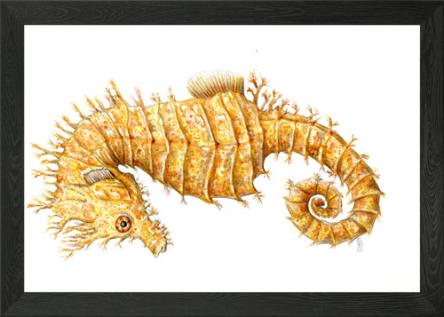Sea horse framed - wall, art