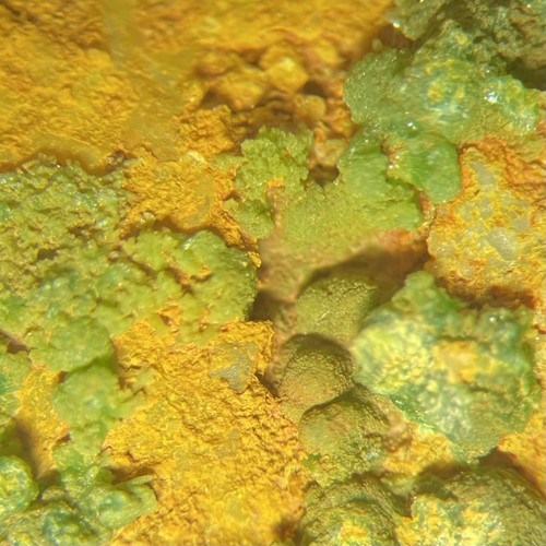 Pyromorphite crystal micros - pyromorphite, on