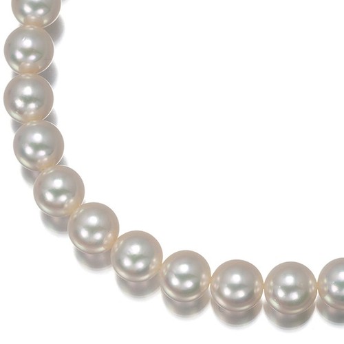Auth mikimoto necklace akoya - auth,
