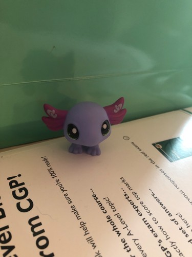 Littlest pet shop lps purple - littlest,