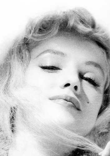 Marilyn monroe monochrome - monroe,