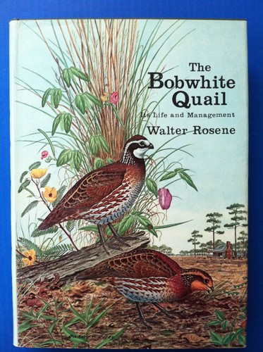 The bobwhite quail - the, quail:
