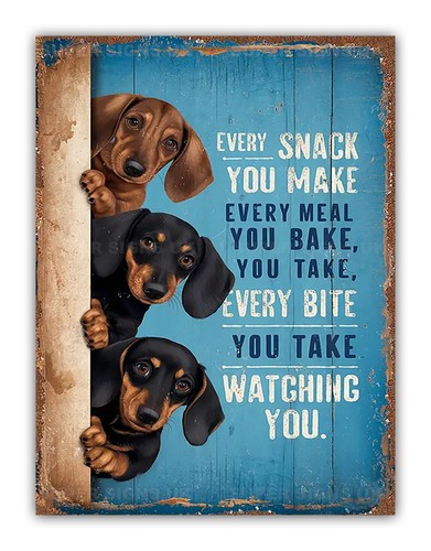 Funny dog snack meal metal - funny,