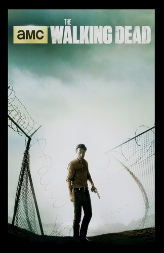 The walking dead - rick, grimes