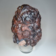 Botryoidal Hematite Var