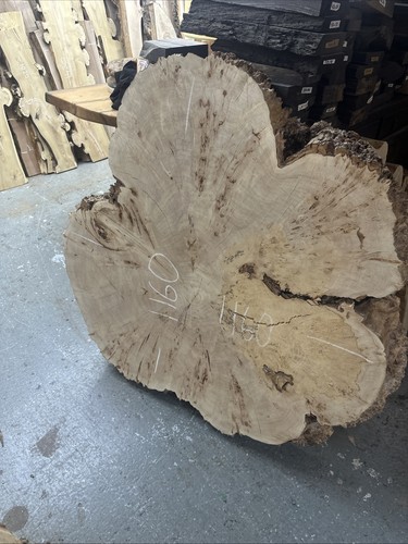 Poplar burl slab kiln dried - burl,