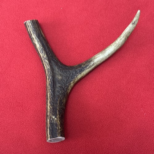 One piece deer antler - piece, y