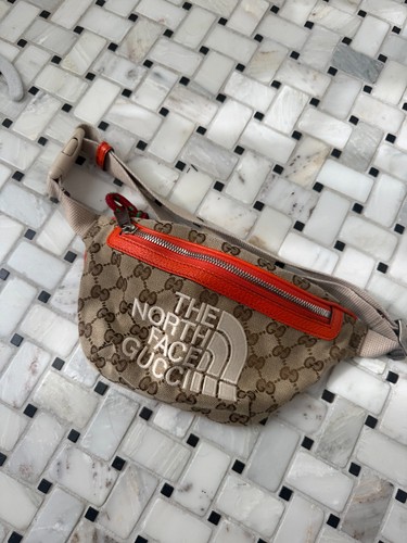 Gucci north face canvas - north,