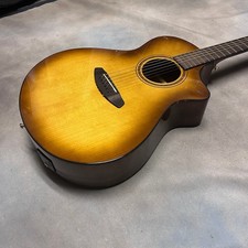 Breedlove Artista Pro Concert