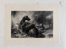 'War' by Edwin Landseer 1875 original antique engraving/etching