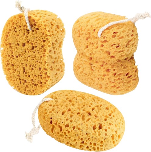 3pcs natural honeycomb sea - 3pcs,