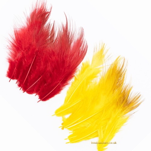 Golden pheasant body - body, feather