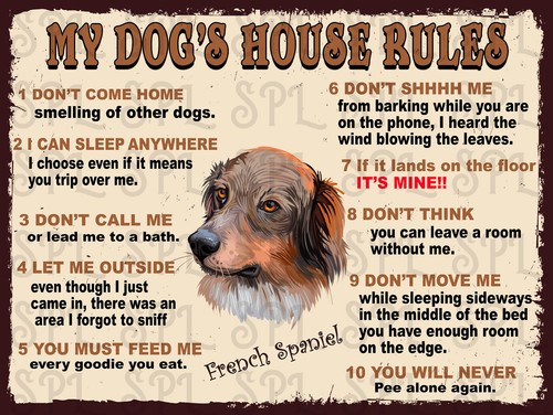 Dog house rules - dog's,