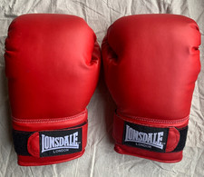 Boxing Gloves Glove 05 10 oz