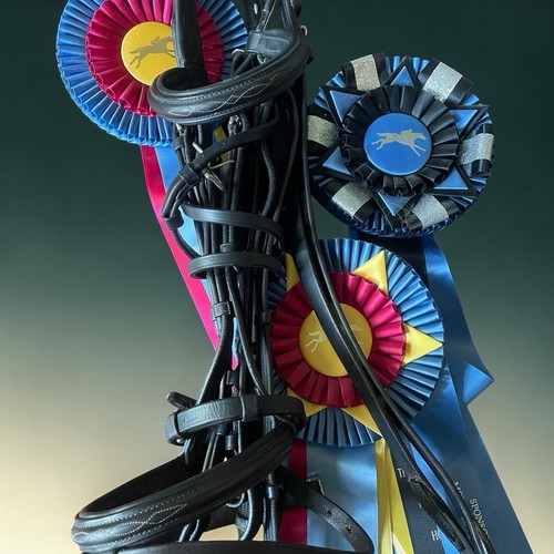 Jumper dressage event bridle - dressage,