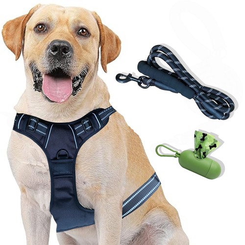 Dog harness pull - no, reflective