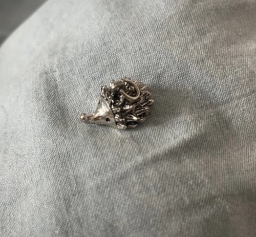 Silver coloured hedgehog - silver,