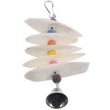 African grey cuttlefish for - cuttlefish,