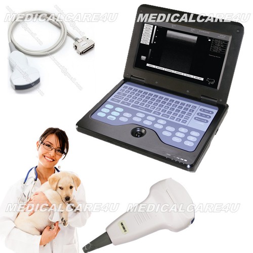 Vet veterinary ultrasound - vet,