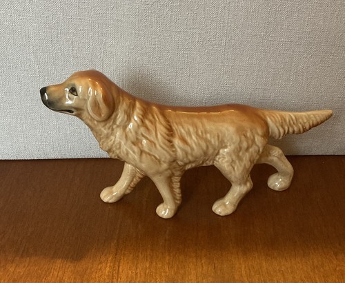 Beautiful retriever light - beautiful,