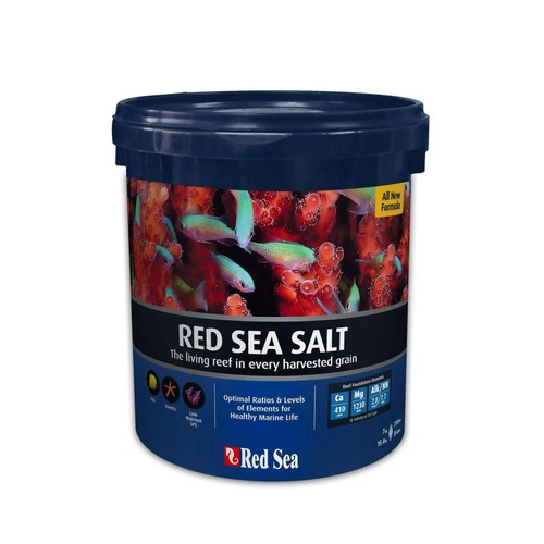 Red sea salt - sea,