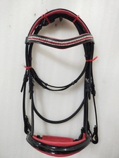 Beautiful Patent Dressage