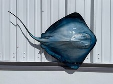 46" Blue Southern Stingray