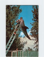 Postcard Sea Lion and Dolphin