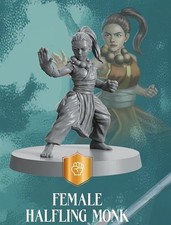 Monk Halfling Female Mini