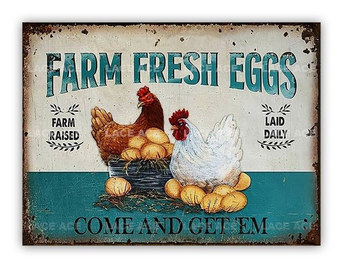 Farm fresh eggs metal - fresh,