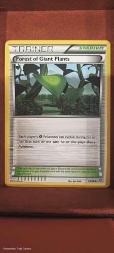 Forest giant plants 98 - forest,