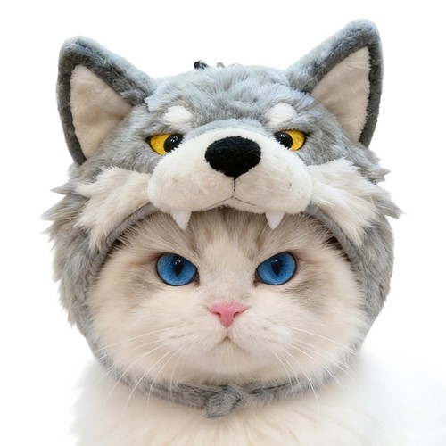 Dog wolf hat - wolf, cute