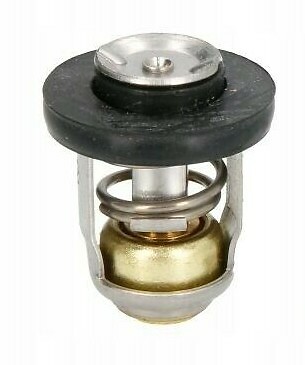 Thermostat for 8hp 9hp 15hp - for, 9.9hp