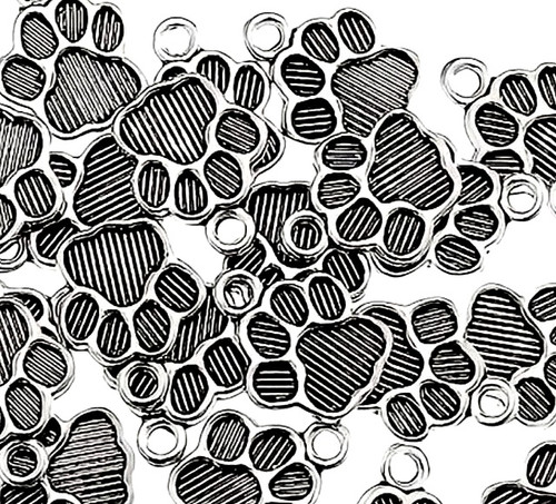 Dog paw print - x,