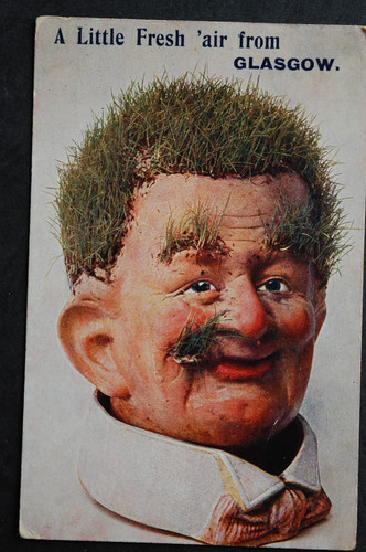 Comic humour man - man, grass