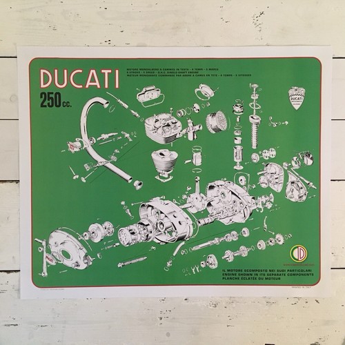 Ducati 250 bevel - 250,