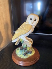 Border Fine Arts Birds By