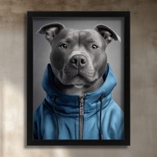 Grey Staffy Art Print Staffordshire Bull Terrier In Tracksuit Dog Portrait Gift