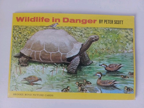 Vintage brooke bond - vintage,