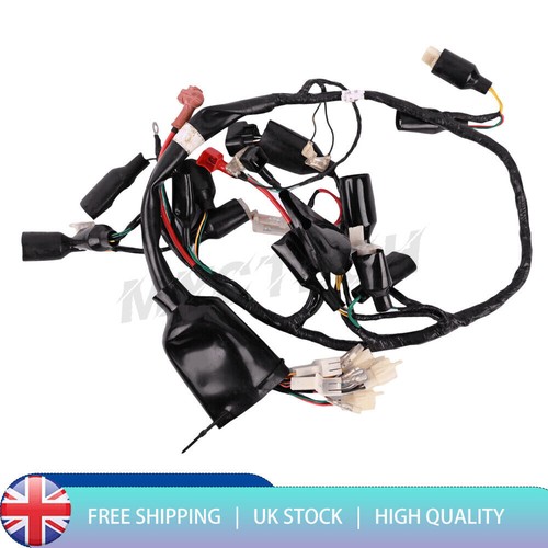 Main wiring loom harness - main,