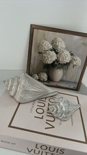 Sea shell ornament - shell,